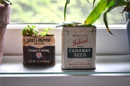 2 kiểu tái chế đồ cũ thành chậu cây độc đáo trang trí nhà