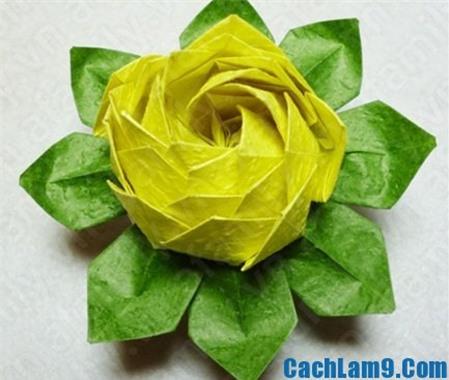Cách gấp hoa sen bằng giấy đơn giản mà đẹp
