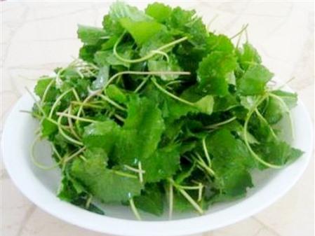 Cách nấu những món canh rau má giải nhiệt