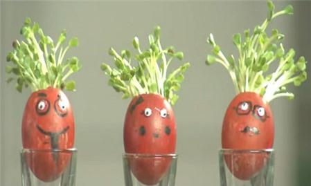 Mách khéo bạn cách trang trí làm đẹp nhà với vỏ trứng