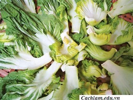 Cách muối dưa cải chua và ngon nhất
