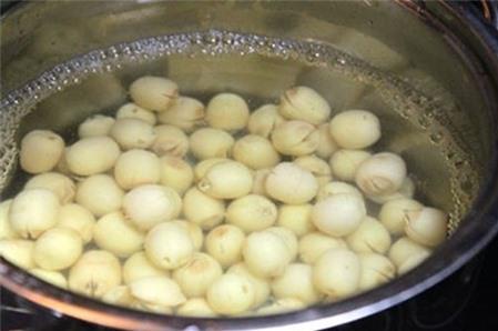 Cách nấu súp hạt sen bổ dưỡng
