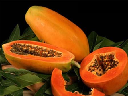 5 thực phẩm có thể giúp tránh thai