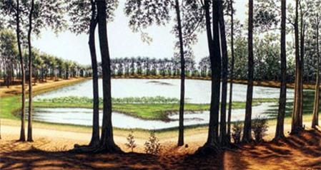 Độc đáo thắng cảnh Ao Bà Om