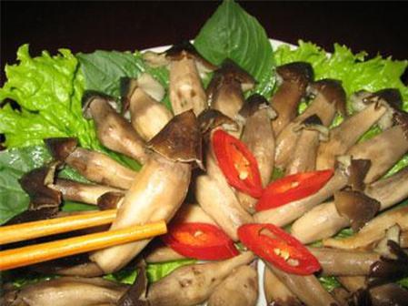 Nấm mối hương vị độc đáo xứ dừa
