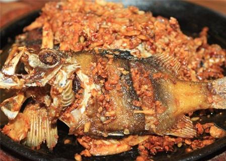 Cá sơn gà, món ngon của biển