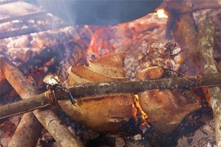 Những món ăn cực ngon từ lợn cắp nách