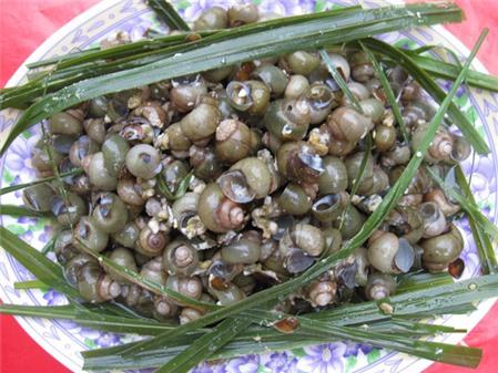 Ba món ăn chơi từ ốc gạo