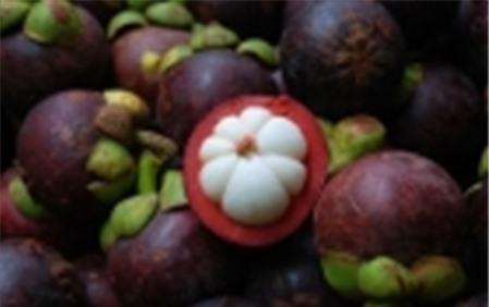 6 món cháo bổ dưỡng dành cho bà bầu