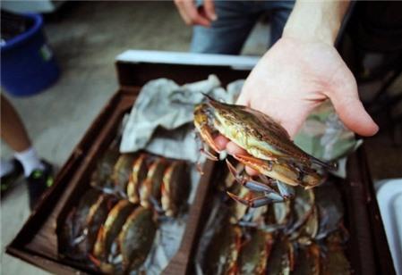 Cách chọn ghẹ tươi ngon, nhiều thịt