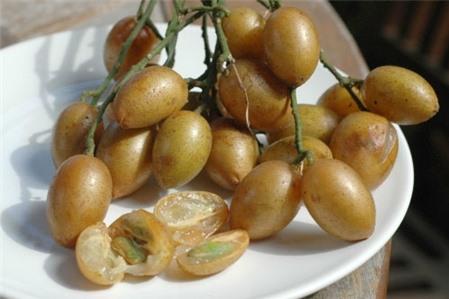 Ăn quả hồng bì có tốt không?