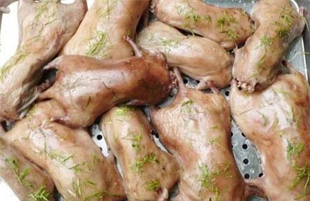 Những người không nên ăn thịt chuột