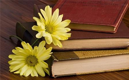 Những từ tiếng Anh hay bị hiểu nhầm