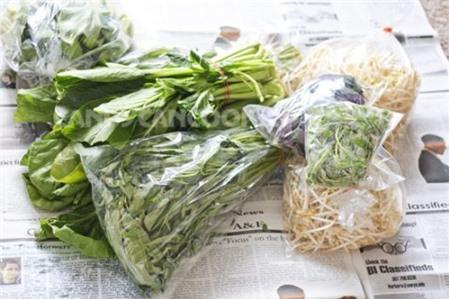 Cách bảo quản giữ rau tươi
