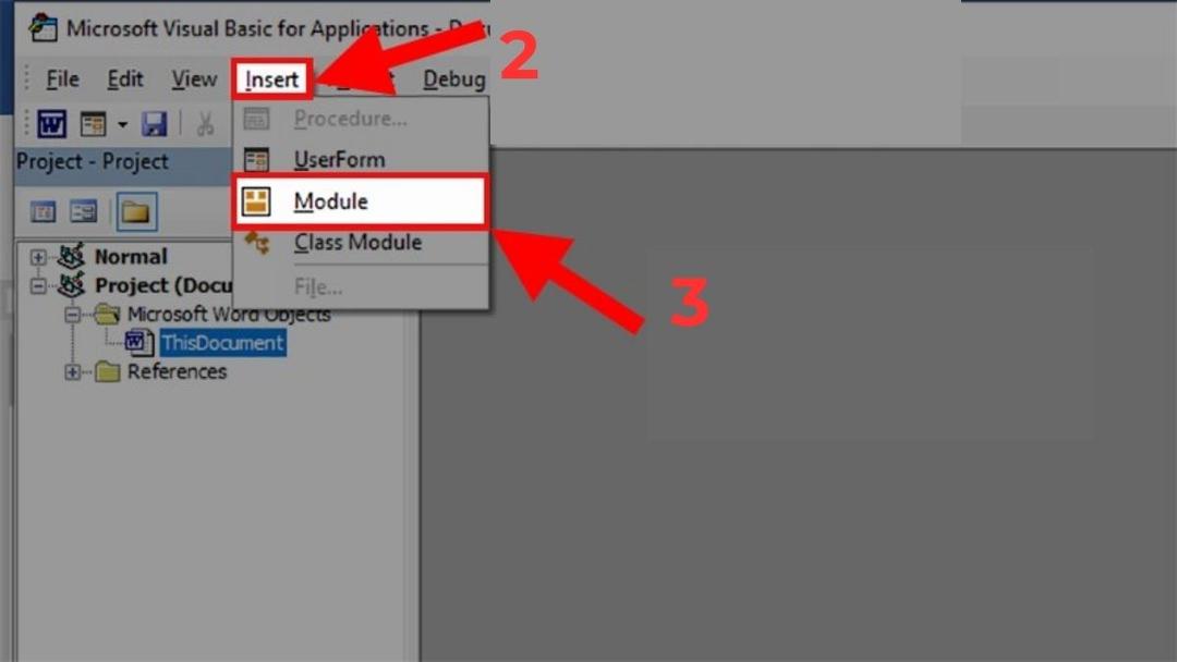 Cách xóa trang trong Word bằng VBA bước 2