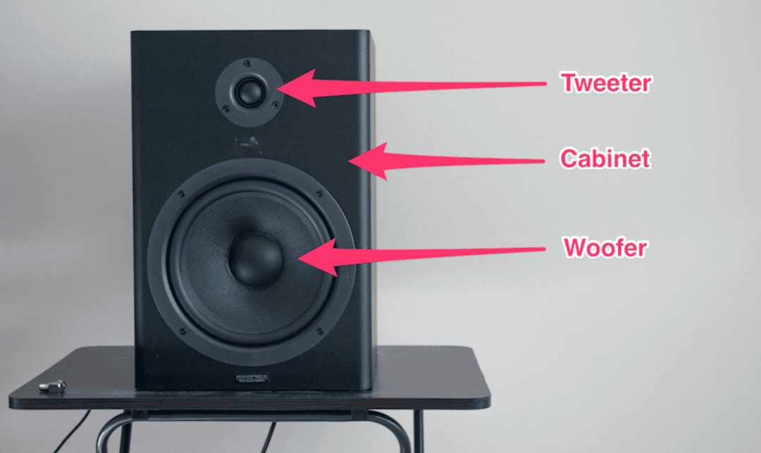 Cấu Tạo Của Loa Kiểm Âm