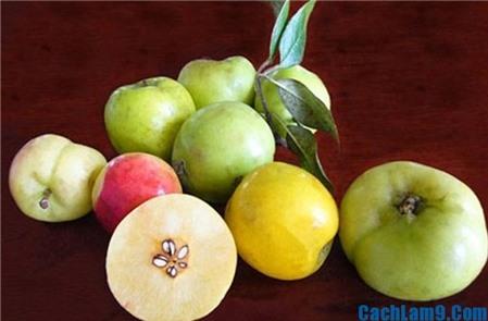 Cách làm ô mai táo mèo ngon và đơn giản nhất